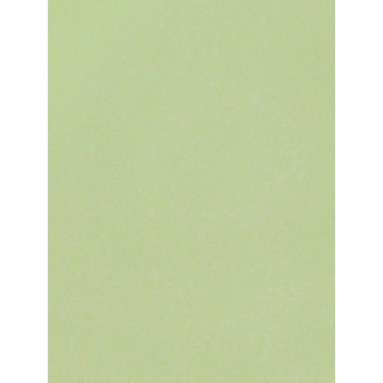 Cartulina Metálica &quot;Verde Agua&quot; especial para tus proyectos de scrapbooking y otras manualidades.

Tamaño: 25.5 cm x 35.5 cm

 
